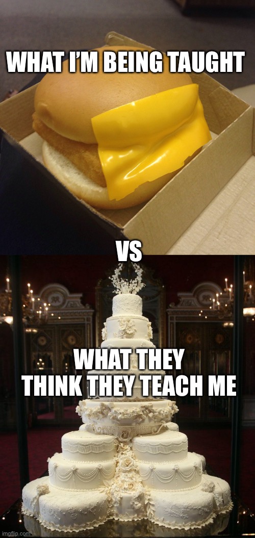 I’m gonna homeschool | WHAT I’M BEING TAUGHT; VS; WHAT THEY THINK THEY TEACH ME | image tagged in fast food priorities,wedding cake | made w/ Imgflip meme maker