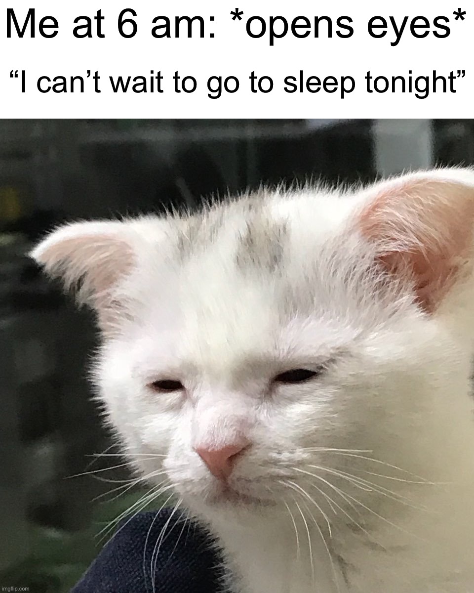 I wanna sleep | Me at 6 am: *opens eyes*; “I can’t wait to go to sleep tonight” | image tagged in i'm awake but at what cost,memes,funny,sleep,relatable memes,true story | made w/ Imgflip meme maker