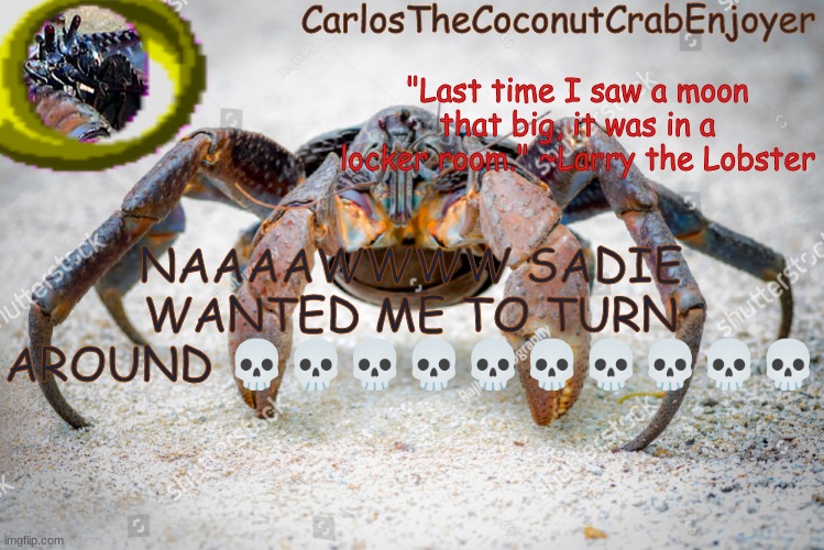 SHE WANTS THE IDIASS | NAAAAWWWW SADIE WANTED ME TO TURN AROUND 💀💀💀💀💀💀💀💀💀💀 | made w/ Imgflip meme maker