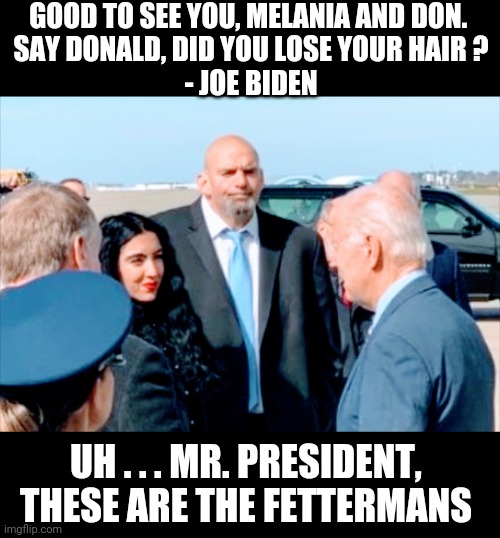 Dimensia Joe | GOOD TO SEE YOU, MELANIA AND DON. 
SAY DONALD, DID YOU LOSE YOUR HAIR ?
- JOE BIDEN; UH . . . MR. PRESIDENT,
THESE ARE THE FETTERMANS | image tagged in fetterman,biden,ageism,liberals,leftists,democrats | made w/ Imgflip meme maker