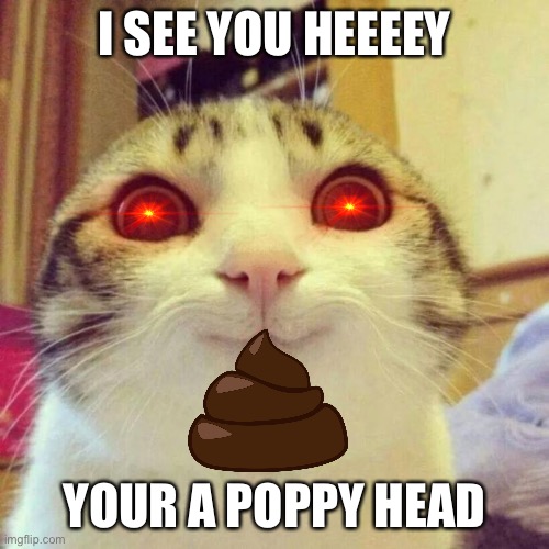 Smiling Cat | I SEE YOU HEEEEY; YOUR A POPPY HEAD | image tagged in memes,smiling cat | made w/ Imgflip meme maker