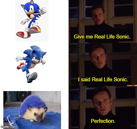perfection | Give me Real Life Sonic. I said Real Life Sonic. Perfection. | image tagged in perfection | made w/ Imgflip meme maker