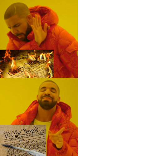 High Quality Drake hotline bling constitution edition Blank Meme Template