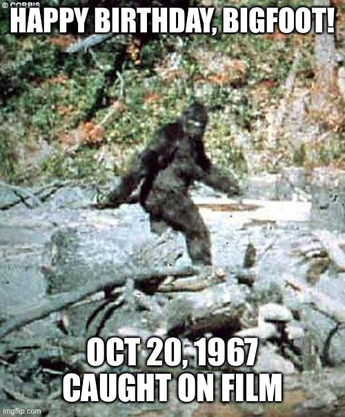 Bigfoot | HAPPY BIRTHDAY, BIGFOOT! OCT 20, 1967
CAUGHT ON FILM | image tagged in bigfoot | made w/ Imgflip meme maker