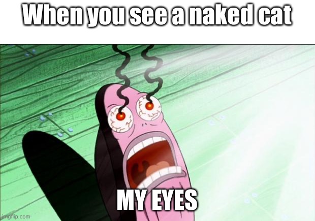 .___________________. | When you see a naked cat; MY EYES | image tagged in spongebob my eyes,my eyes,cats | made w/ Imgflip meme maker