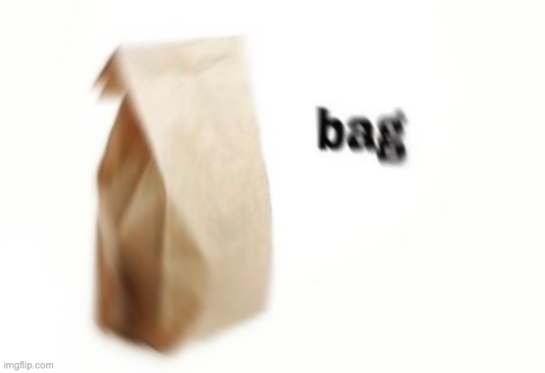 bag | image tagged in bag | made w/ Imgflip meme maker