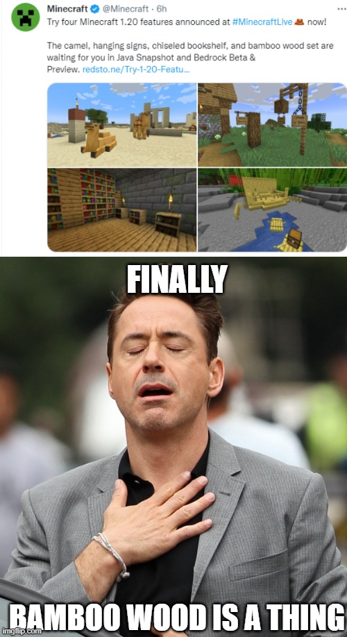 Admit it, bamboo has been practically useless except for sticks/fuel | FINALLY; BAMBOO WOOD IS A THING | image tagged in relieved rdj,minecraft bamboo,finally | made w/ Imgflip meme maker