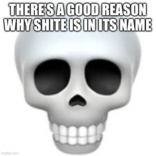 skull | THERE’S A GOOD REASON WHY SHITE IS IN ITS NAME | image tagged in skull | made w/ Imgflip meme maker