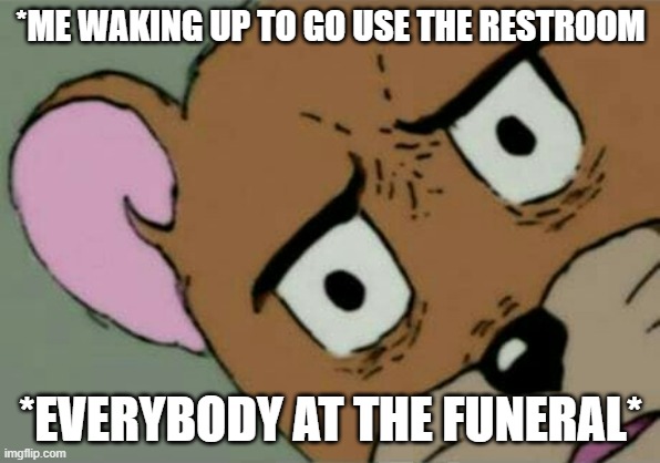 very unsettled | *ME WAKING UP TO GO USE THE RESTROOM; *EVERYBODY AT THE FUNERAL* | image tagged in unsettled jerry | made w/ Imgflip meme maker