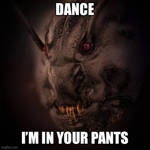 Ant face | DANCE; I’M IN YOUR PANTS | image tagged in scary,yoga pants,dance,bugs | made w/ Imgflip meme maker