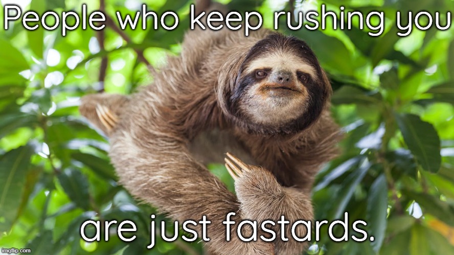 Fools rush in... |  People who keep rushing you; are just fastards. | image tagged in sloth share,annoying,complainers | made w/ Imgflip meme maker
