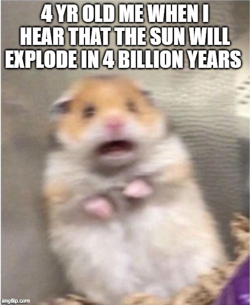 AAAAAAAHHHHHHHH! IMA GONNA BLOW UPS | 4 YR OLD ME WHEN I HEAR THAT THE SUN WILL EXPLODE IN 4 BILLION YEARS | image tagged in scared hamster,hamster,pets,funny memes,meme | made w/ Imgflip meme maker