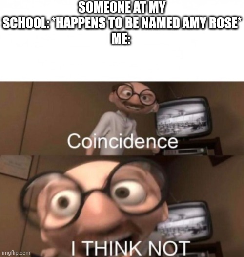 coincidence? I THINK NOT | SOMEONE AT MY SCHOOL: *HAPPENS TO BE NAMED AMY ROSE*
ME: | image tagged in coincidence i think not | made w/ Imgflip meme maker