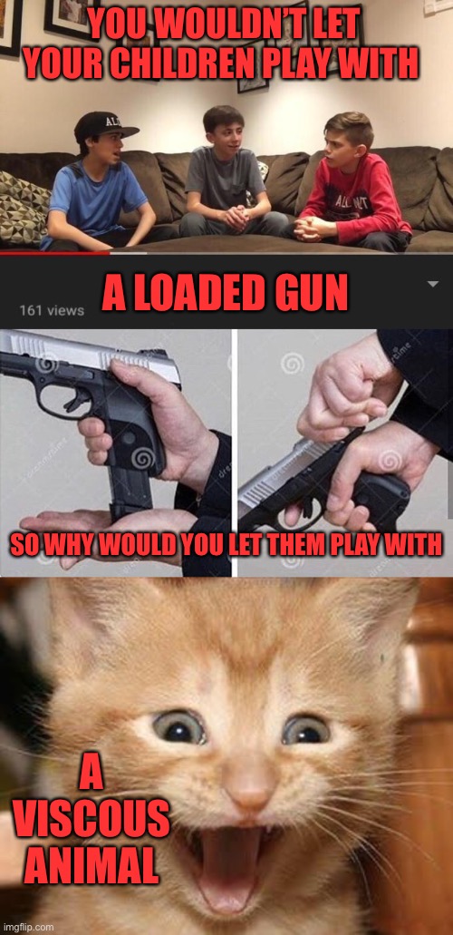 YOU WOULDN’T LET YOUR CHILDREN PLAY WITH; A LOADED GUN; SO WHY WOULD YOU LET THEM PLAY WITH; A VISCOUS ANIMAL | image tagged in is fortnite actually overrated,loading gun,memes,excited cat | made w/ Imgflip meme maker