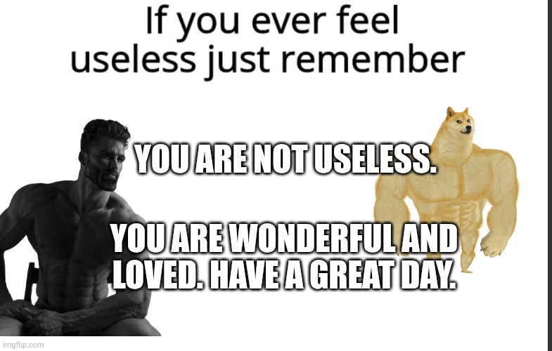 If you ever feel useless... | YOU ARE NOT USELESS. YOU ARE WONDERFUL AND LOVED. HAVE A GREAT DAY. | image tagged in if you ever feel useless remember this | made w/ Imgflip meme maker