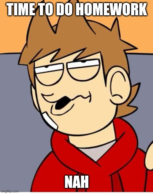 Me. | TIME TO DO HOMEWORK; NAH | image tagged in eddsworld | made w/ Imgflip meme maker