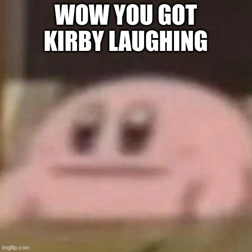 Kirby Has No Emotion | WOW YOU GOT KIRBY LAUGHING | image tagged in kirby has no emotion | made w/ Imgflip meme maker