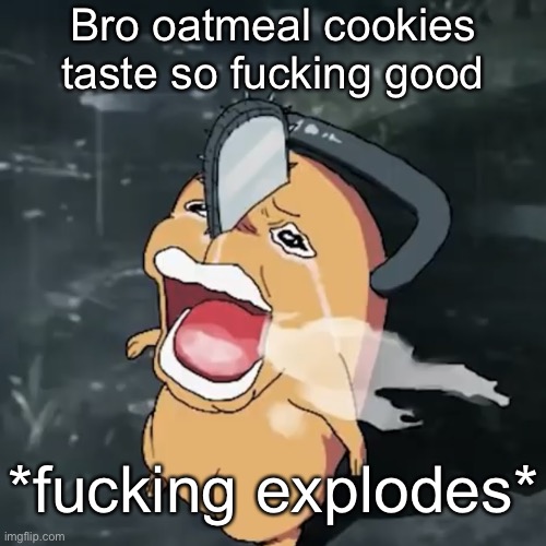 *insert hyper realistic pig smoking pipe* | Bro oatmeal cookies taste so fucking good; *fucking explodes* | image tagged in pochita copper cry | made w/ Imgflip meme maker
