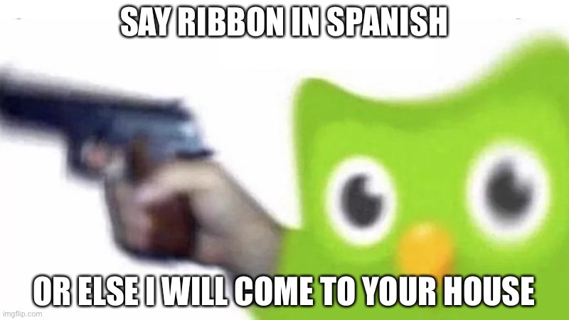 duolingo gun | SAY RIBBON IN SPANISH OR ELSE I WILL COME TO YOUR HOUSE | image tagged in duolingo gun | made w/ Imgflip meme maker