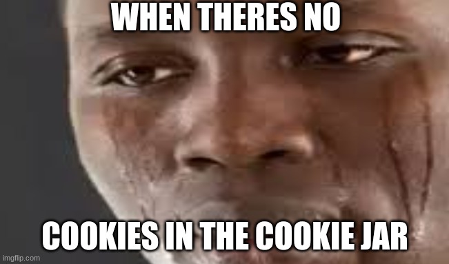WHEN THERES NO; COOKIES IN THE COOKIE JAR | image tagged in funny memes | made w/ Imgflip meme maker