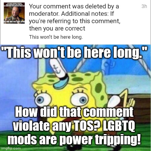 LGBTQ MODS are Tripping | "This won't be here long."; How did that comment violate any TOS? LGBTQ mods are power tripping! | image tagged in memes,mocking spongebob | made w/ Imgflip meme maker