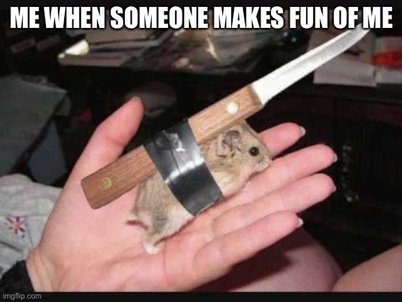 Lock and Load Hamster | ME WHEN SOMEONE MAKES FUN OF ME | image tagged in lock and load hamster | made w/ Imgflip meme maker