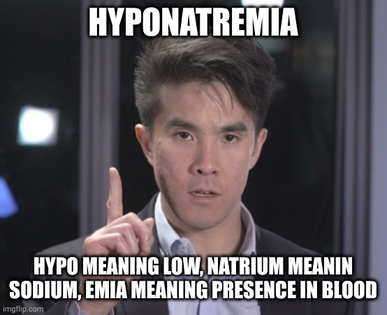 Chubbyemu | HYPONATREMIA; HYPO MEANING LOW, NATRIUM MEANIN SODIUM, EMIA MEANING PRESENCE IN BLOOD | image tagged in chubbyemu | made w/ Imgflip meme maker