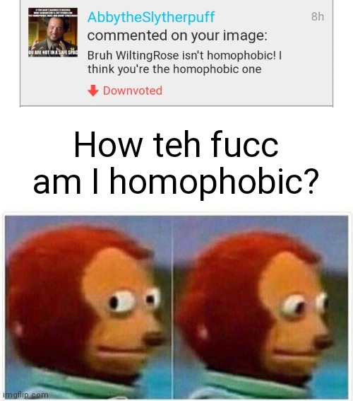 I fight for truth and justice for all LGBTI | How teh fucc am I homophobic? | image tagged in memes,monkey puppet | made w/ Imgflip meme maker