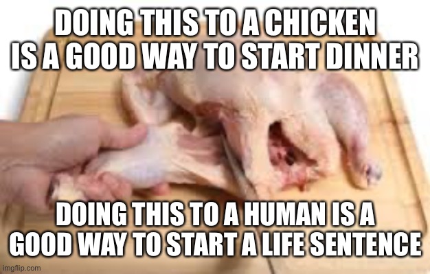 DOING THIS TO A CHICKEN IS A GOOD WAY TO START DINNER DOING THIS TO A HUMAN IS A GOOD WAY TO START A LIFE SENTENCE | made w/ Imgflip meme maker