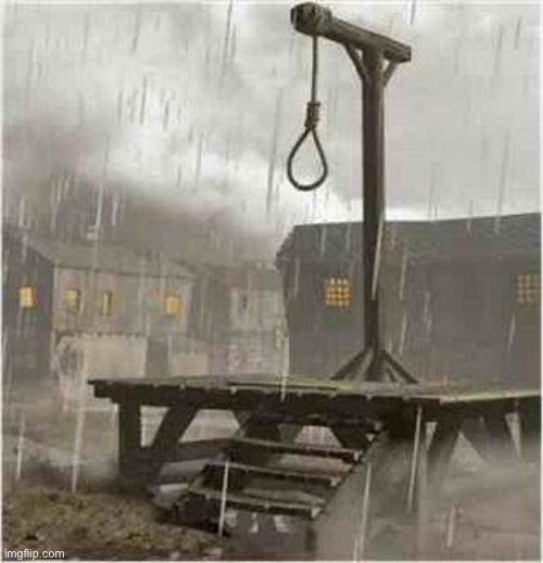 Go in, person above, NOW | image tagged in gallows | made w/ Imgflip meme maker