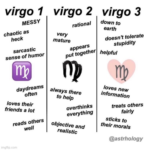 Which do y’all think I am | image tagged in virgo,personality | made w/ Imgflip meme maker
