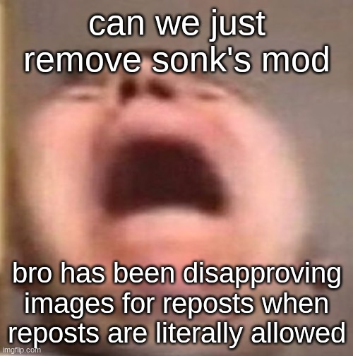 . | can we just remove sonk's mod; bro has been disapproving images for reposts when reposts are literally allowed | made w/ Imgflip meme maker