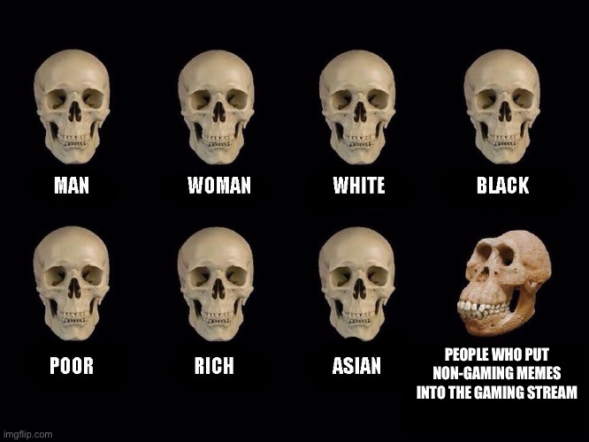 empty skulls of truth | PEOPLE WHO PUT NON-GAMING MEMES INTO THE GAMING STREAM | image tagged in empty skulls of truth,memes,funny,imgflip,stream,gaming | made w/ Imgflip meme maker
