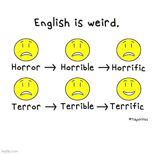 darn right it's weird | image tagged in grammar | made w/ Imgflip meme maker