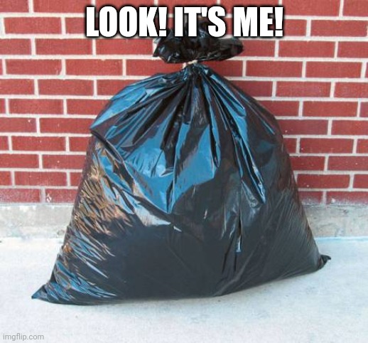 Trash bag | LOOK! IT'S ME! | image tagged in trash bag | made w/ Imgflip meme maker