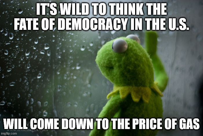 kermit window | IT'S WILD TO THINK THE FATE OF DEMOCRACY IN THE U.S. WILL COME DOWN TO THE PRICE OF GAS | image tagged in kermit window | made w/ Imgflip meme maker