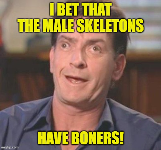 Charlie Sheen DERP | I BET THAT THE MALE SKELETONS HAVE BONERS! | image tagged in charlie sheen derp | made w/ Imgflip meme maker