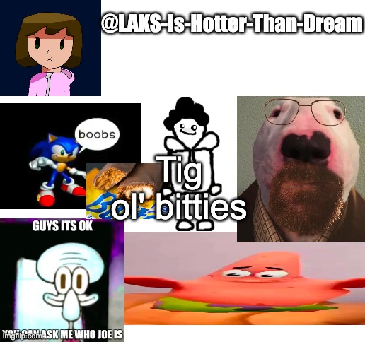 a template | Tig ol' bitties | image tagged in a template | made w/ Imgflip meme maker
