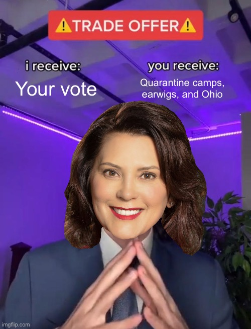 Tudor Dixon it is | Your vote; Quarantine camps, earwigs, and Ohio | image tagged in gretchen whitmer,michigan | made w/ Imgflip meme maker