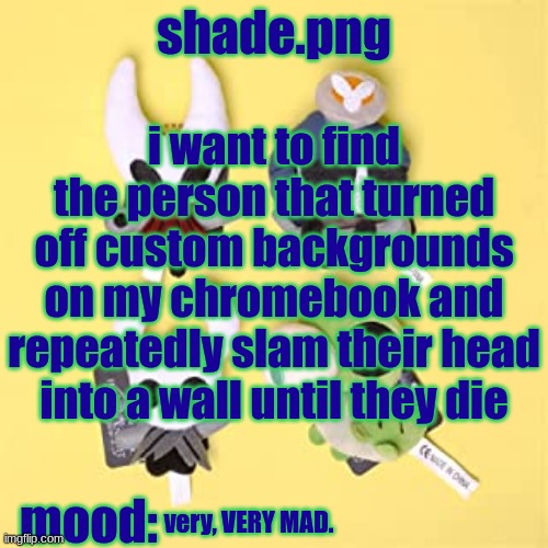 hole low night | i want to find the person that turned off custom backgrounds on my chromebook and repeatedly slam their head into a wall until they die; very, VERY MAD. | image tagged in hole low night | made w/ Imgflip meme maker