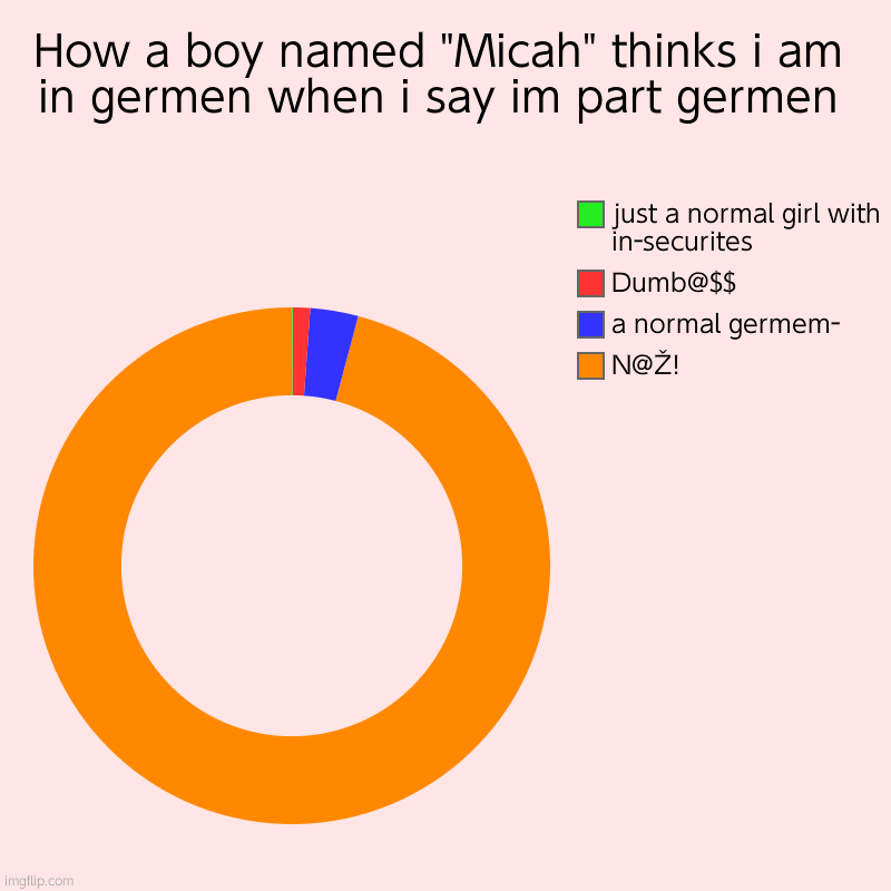 How a boy named "Micah" thinks i am in germen when i say im part germen | N@Ž!, a normal germem-, Dumb@$$, just a normal girl with in-securi | image tagged in charts,donut charts | made w/ Imgflip chart maker