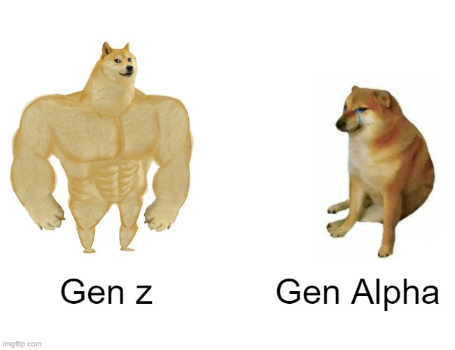 Off | Gen z; Gen Alpha | image tagged in memes,buff doge vs cheems | made w/ Imgflip meme maker