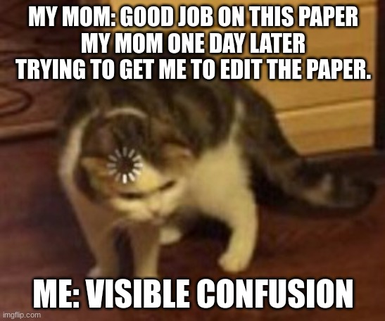 True story | MY MOM: GOOD JOB ON THIS PAPER
MY MOM ONE DAY LATER TRYING TO GET ME TO EDIT THE PAPER. ME: VISIBLE CONFUSION | image tagged in loading cat | made w/ Imgflip meme maker