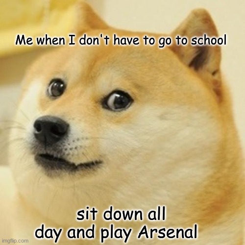 ME LOVE ROBLOX | Me when I don't have to go to school; sit down all day and play Arsenal | image tagged in memes,doge | made w/ Imgflip meme maker