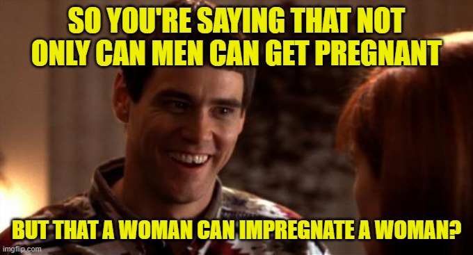 So you're saying there's a chance | SO YOU'RE SAYING THAT NOT ONLY CAN MEN CAN GET PREGNANT BUT THAT A WOMAN CAN IMPREGNATE A WOMAN? | image tagged in so you're saying there's a chance | made w/ Imgflip meme maker