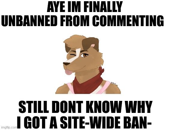 Also congrats the the furry stream for hitting 1000 followers! | AYE IM FINALLY UNBANNED FROM COMMENTING; STILL DONT KNOW WHY I GOT A SITE-WIDE BAN- | image tagged in blank white template,furry,the furry fandom,comment section | made w/ Imgflip meme maker