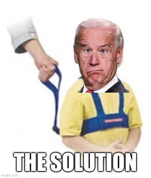 Weird Kid on leash | THE SOLUTION | image tagged in weird kid on leash | made w/ Imgflip meme maker