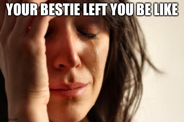 Crying | YOUR BESTIE LEFT YOU BE LIKE | image tagged in memes,first world problems | made w/ Imgflip meme maker