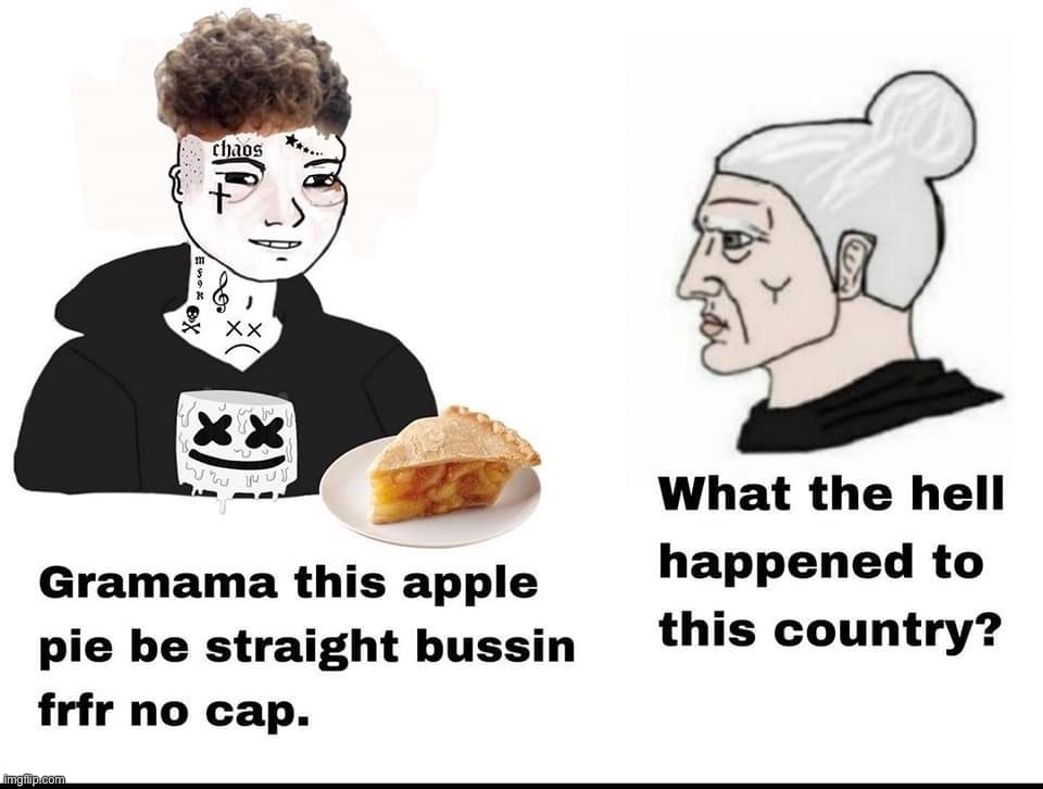 Gen Z vs. Grandma | image tagged in gen z vs grandma | made w/ Imgflip meme maker
