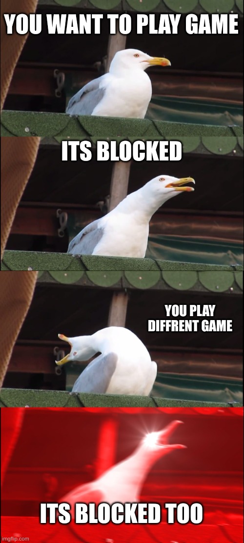 blocked pc games |  YOU WANT TO PLAY GAME; ITS BLOCKED; YOU PLAY DIFFRENT GAME; ITS BLOCKED TOO | image tagged in memes,inhaling seagull | made w/ Imgflip meme maker